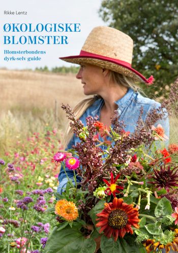 Økologiske blomster Blomsterbondens dyrk-selv guide Rikke Lentz Blomsterbonde