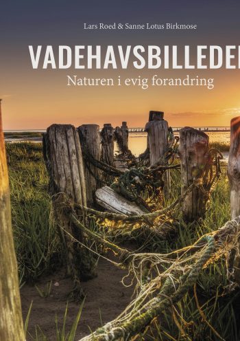Vadehavsbilleder Naturen i evig forandring Lars Roed, Sanne Lotus Birkmose Muusmann Forlag Vadehavet