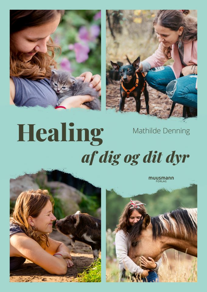 Healing – af dig og dit dyr Mathilde Denning Muusmann Forlag