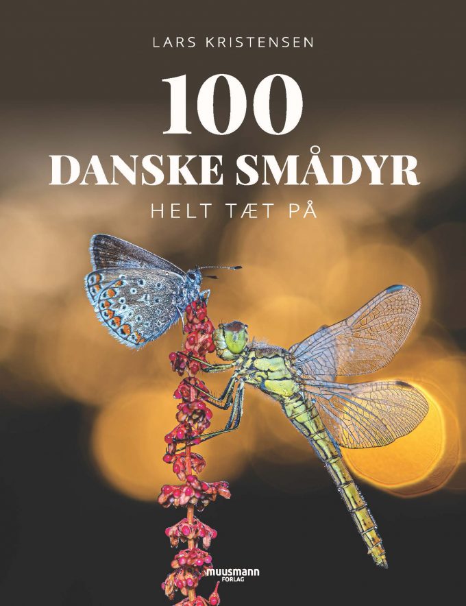 100 danske smådyr Lars Kristensen Muusmann Forlag
