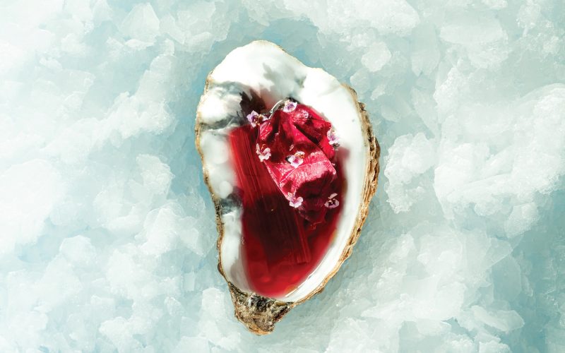 Pink Oyster Jonas Harboe Frederiksen Muusmann forlag