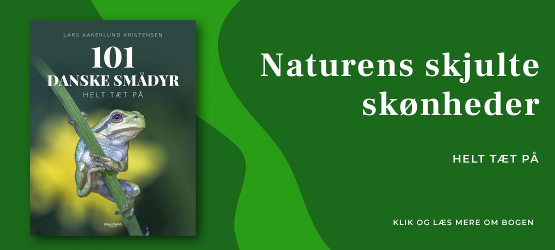 101 danske smådyr Lars Aakerlund Kristensen Muusmann forlag