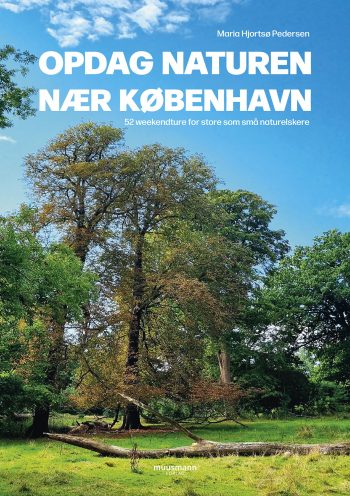 Opdag naturen nær København Maria Hjortsø Pedersen Muusmann forlag